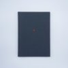 Otto Künzli. Das dritte Auge, 1991
