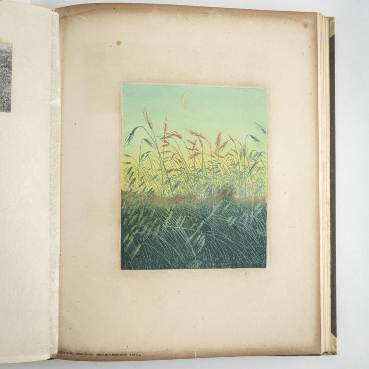 Bild 4 zu Objekt, PAN, 2. Jahrgang 1896/97, Bd. 2, 165C 474