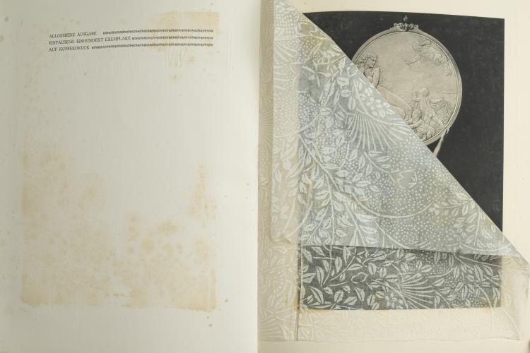 Bild 1 zu Objekt, PAN, 3. Jahrgang 1897, Bd. 1, 165C 475