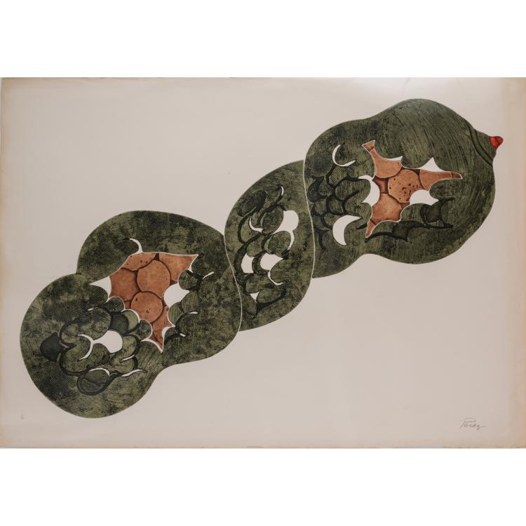 Hauptbild zu Objekt, 'Le Serpent vert', 1971, Rossini Quintas Perez, L'&OElig;uvre Grav&eacute;e, 166B 250