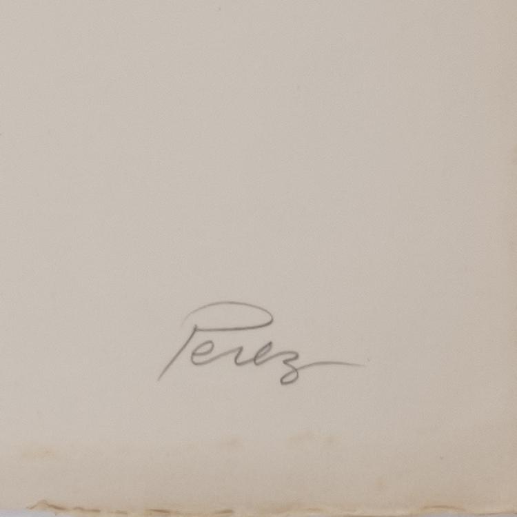 Bild 1 zu Objekt, 'Le Serpent vert', 1971, Rossini Quintas Perez, L'&OElig;uvre Grav&eacute;e, 166B 250