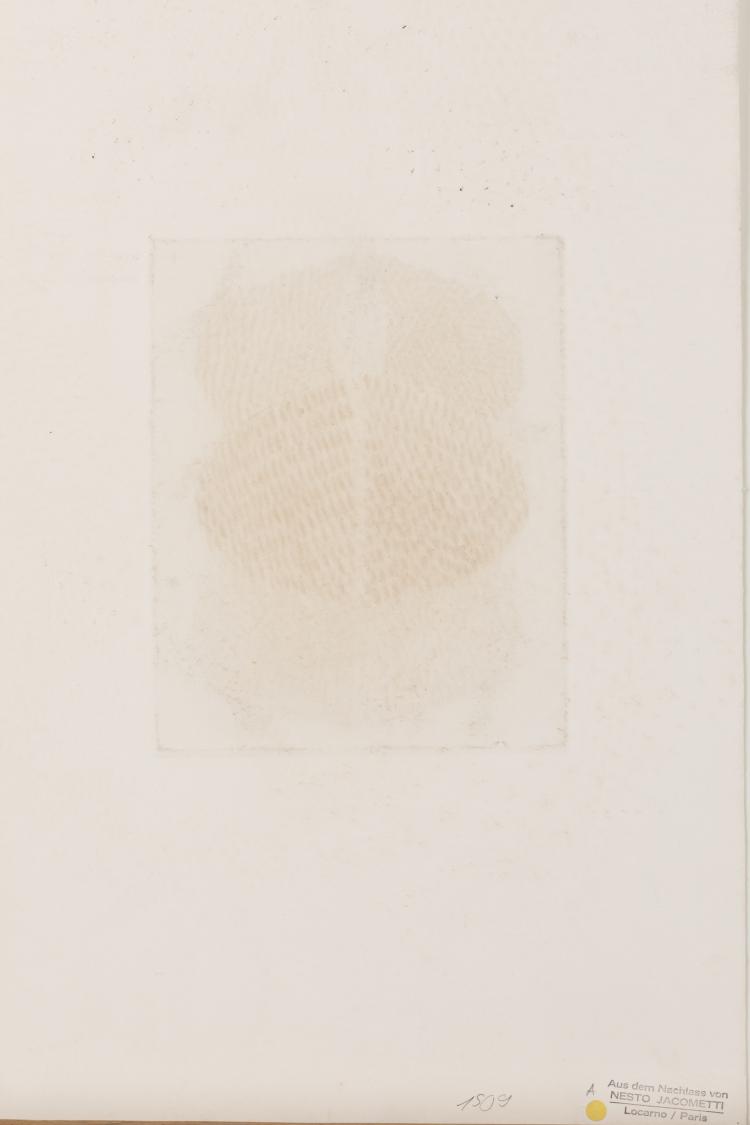 Bild 2 zu Objekt, 'Bleu-vert', 1971, Arthur Luiz Piza, L'&OElig;uvre Grav&eacute;e, 166B 256