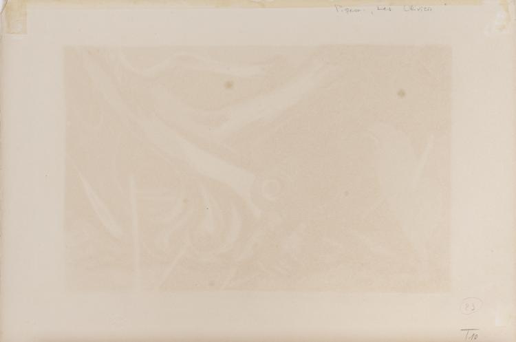 Bild 3 zu Objekt, 'Les Oliviers', 1950, &Eacute;douard Pignon, Guilde Internationale de la Gravure/L'&OElig;uvre Grav&eacute;e, 166B 252