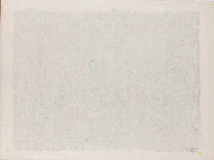 Bild 2 zu Objekt, 'Coqs au combat', 1959, &Eacute;douard Pignon, L'&OElig;uvre Grav&eacute;e, 166B 255