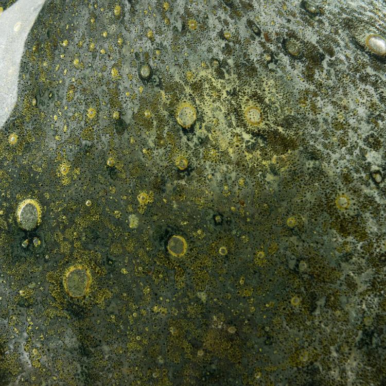 Bild 6 zu Objekt, Vase 'Aborigeno', 1954, Ercole Barovier, Barovier & Toso, Murano, 164C 627