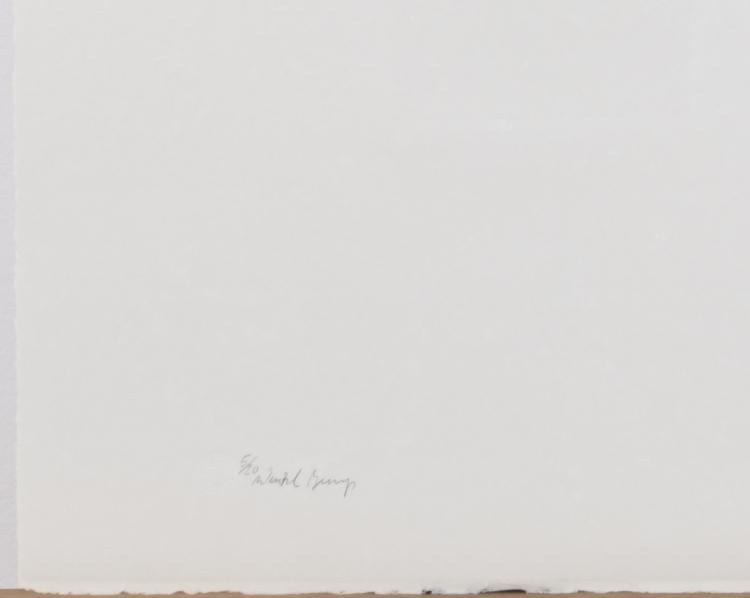 Bild 1 zu Objekt, 'Hirsch-Fu&szlig;', 1985, Joseph Beuys, 166B 346