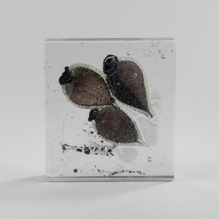 Hauptbild zu Objekt, 'Fossil' glass object, 2000, Steffen Dam, Dam, Steffen, 166A 172