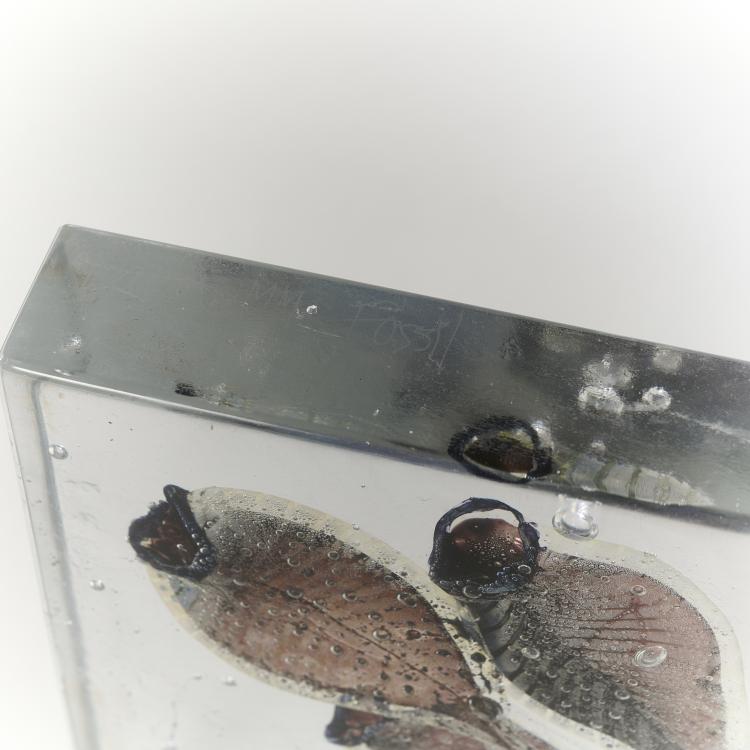 Bild 3 zu Objekt, 'Fossil' glass object, 2000, Steffen Dam, Dam, Steffen, 166A 172