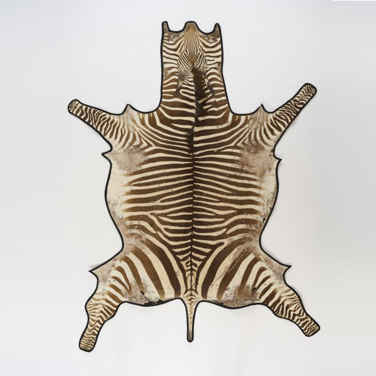 Hauptbild zu Objekt, Zwei Zebrafelle, 1960er Jahre, Namibia (zugeschrieben/attributed), 169C 526