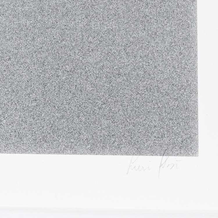 Bild 1 zu Objekt, 'Fish Kiss', 1991 (printed later), Yuri Dojc, 169E 964