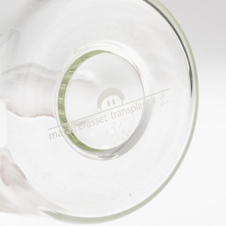 Bild 3 zu Objekt, Skulptur 'Transplant &ne; 02', 2007, Matali Crasset, Crasset, Matali, Paris, 169A 184