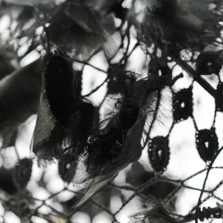 Bild 5 zu Objekt, 'Come rain, come shine' ceiling light, 2004, Tord Boontje, Artecnica, Beverly Hills oder Coopa-Roca initiative, Rio de Janeiro, 172A 181