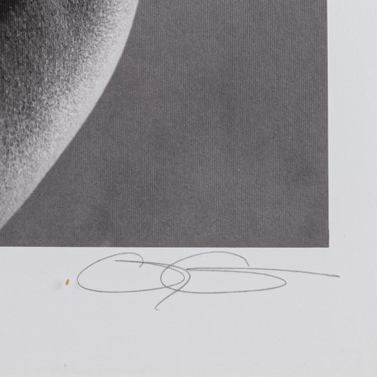 Bild 9 zu Objekt, 'Echo Johnson', 'Dijmon', 'Weiblicher Torso', 'Tony Ward', um 1990, Greg Gorman, 172C 446