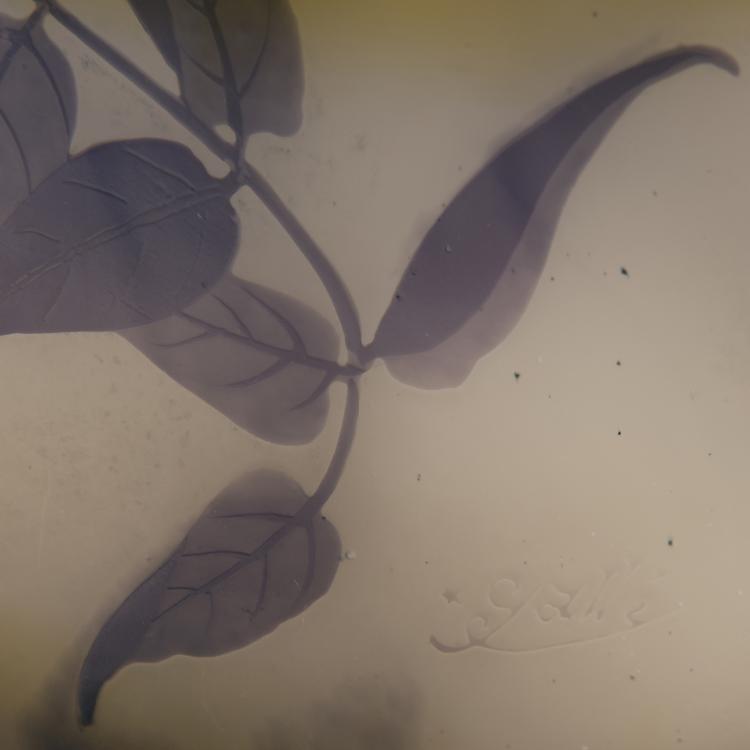 Bild 2 zu Objekt, Vase 'Glycines', 1905-08, Gall&eacute;, Nancy, 174A 123