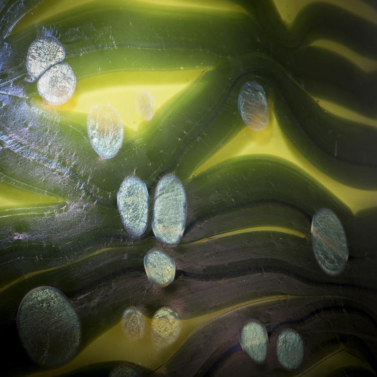 Bild 3 zu Objekt, 'Cytisus'-Vase, 1902, L&ouml;tz Wwe., Klosterm&uuml;hle, 174A 217