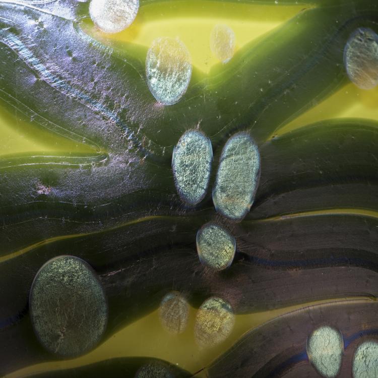 Bild 4 zu Objekt, 'Cytisus'-Vase, 1902, L&ouml;tz Wwe., Klosterm&uuml;hle, 174A 217