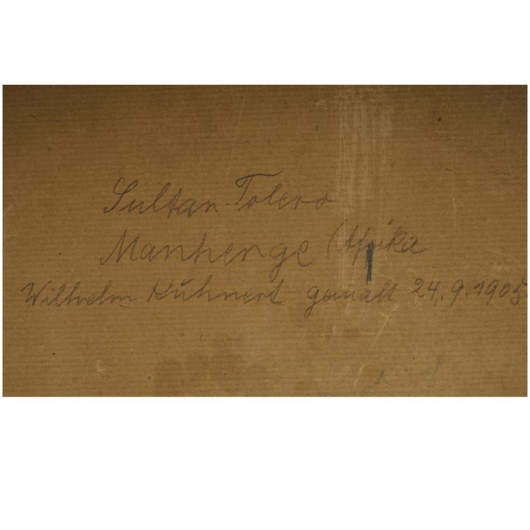 Bild 5 zu Objekt, 'Sultan Solero', 1905, Wilhelm Kuhnert, 173D 810