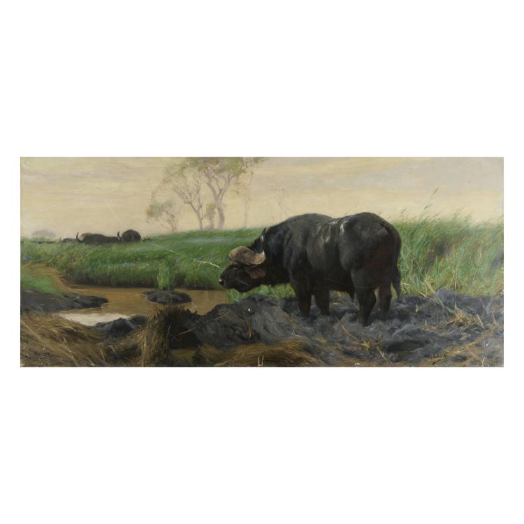 Hauptbild zu Objekt, 'Old Cape buffalo at the pond', probably around 1917-26, Wilhelm Kuhnert, 173D 809