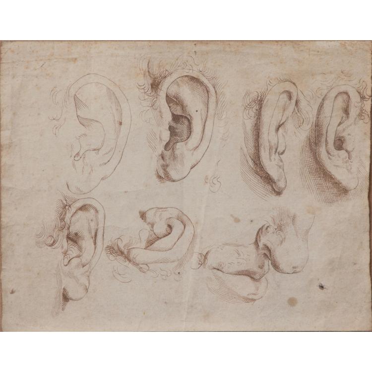 Hauptbild zu Objekt, Six ear studies, 16th/17th century, 173D 776