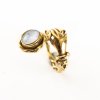 Ring, 1980er Jahre