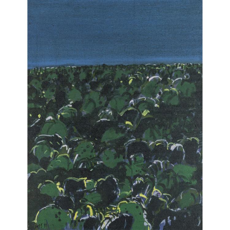 Hauptbild zu Objekt, Meadow and blue sky, 1977, Horst Sauerbruch, 175D 767