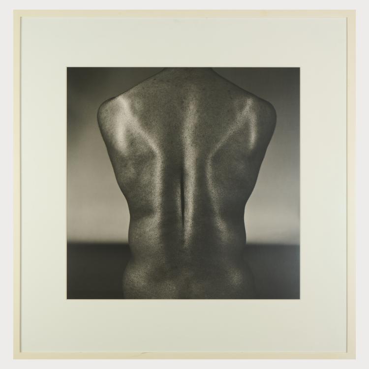 Bild 1 zu Objekt, 'Black Back, New York City', 1978 (Druck 1995), Lynn Davis, 175D 785