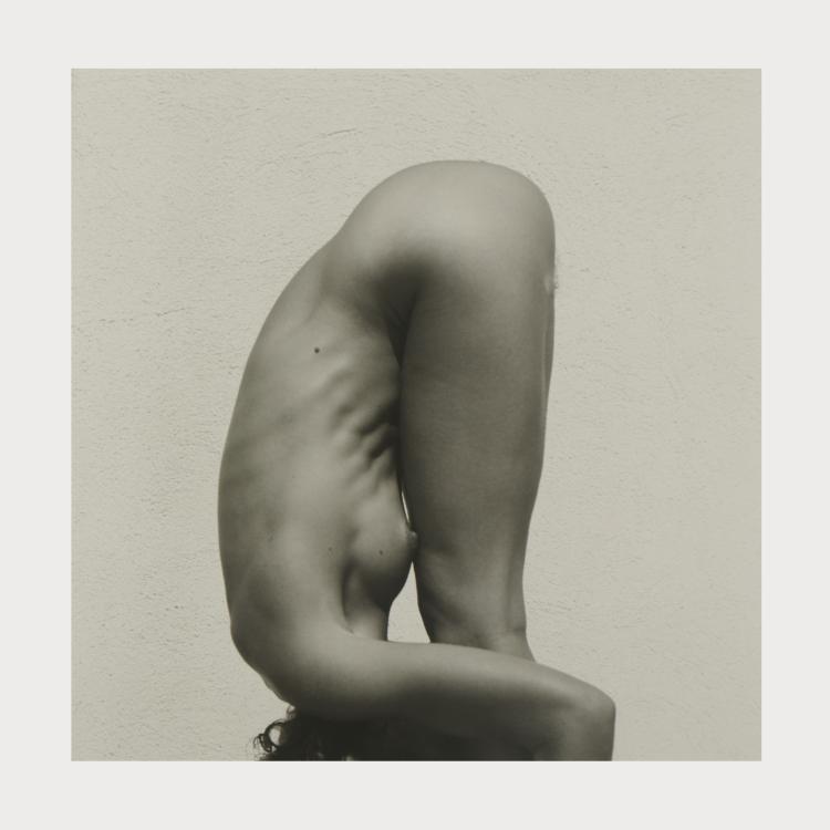 Hauptbild zu Objekt, 'Darlene Vanderhoop, Los Angeles', 1978 (Druck 1995), Lynn Davis, 175D 786