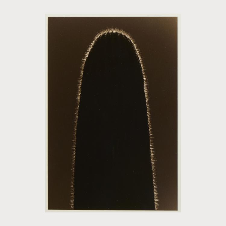 Bild 3 zu Objekt, 3 Photographien #1515, #1628 und #1629 aus der Serie 'Kawa = Flow", um 2007 (Drucke 2014), Yamamoto Masao, 175D 795