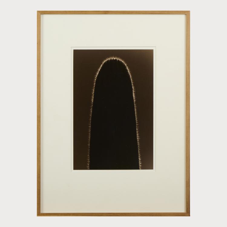 Bild 4 zu Objekt, 3 Photographien #1515, #1628 und #1629 aus der Serie 'Kawa = Flow", um 2007 (Drucke 2014), Yamamoto Masao, 175D 795