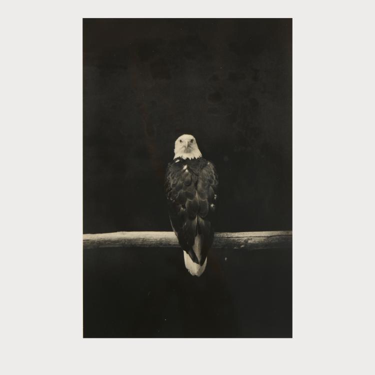 Bild 6 zu Objekt, 3 Photographien #1515, #1628 und #1629 aus der Serie 'Kawa = Flow", um 2007 (Drucke 2014), Yamamoto Masao, 175D 795