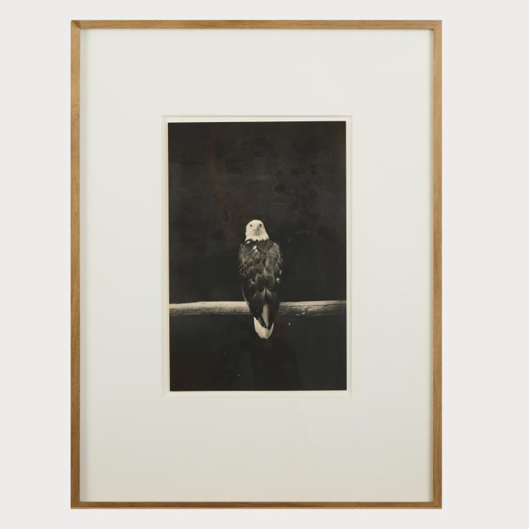 Bild 7 zu Objekt, 3 Photographien #1515, #1628 und #1629 aus der Serie 'Kawa = Flow", um 2007 (Drucke 2014), Yamamoto Masao, 175D 795