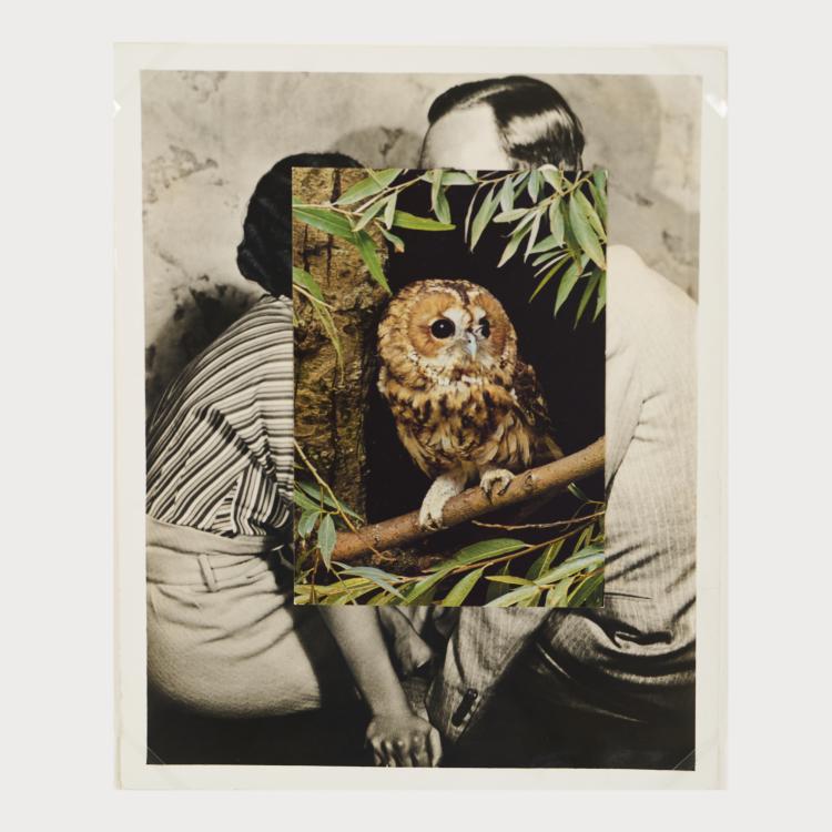 Hauptbild zu Objekt, 'Nest IV', 2007, John Stezaker, 175D 806