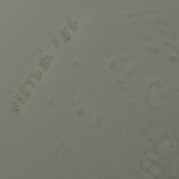 Bild 6 zu Objekt, Two side tables, c. 1986 (design), Luciano Vistosi (attributed), Vetreria Vistosi, Murano (zug./attr.), 175B 391