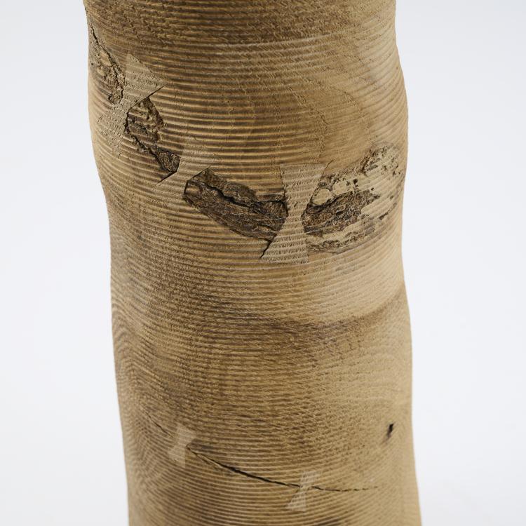 Bild 3 zu Objekt, Vase object, 2005, Ernst Gamperl, Gamperl, Ernst, 176B 258