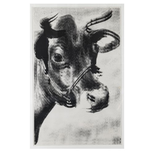 'Cow', 1966