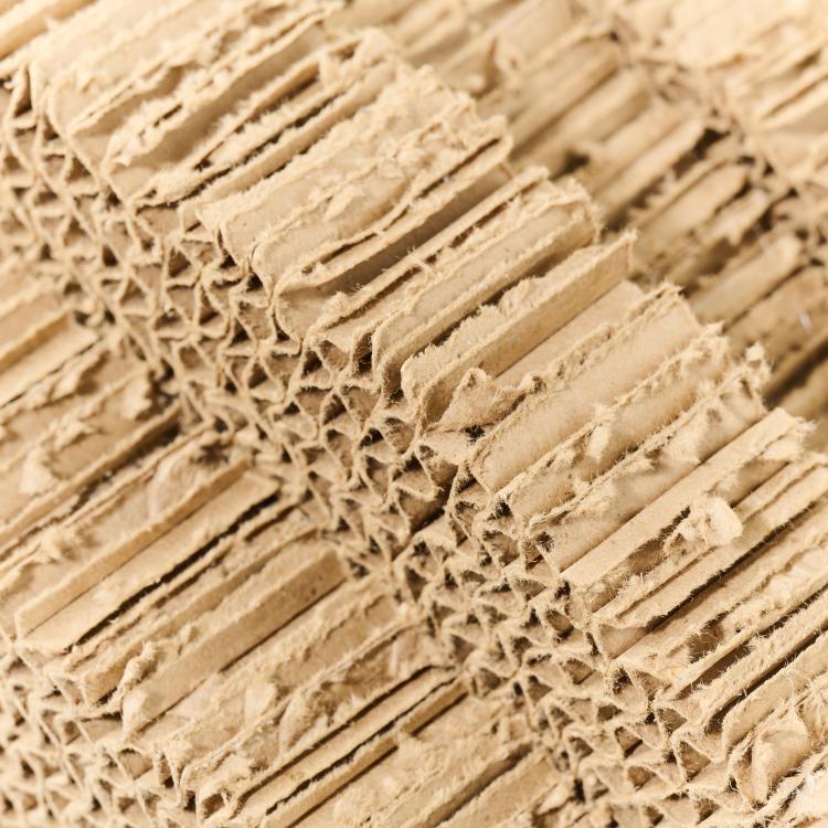 Bild 10 zu Objekt, 'Little Beaver' armchair with ottoman, 1979-82 (design), Frank O. Gehry, Vitra, Birsfelden, 177A 409