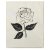 Untitled (Pink Rose), c. 1955