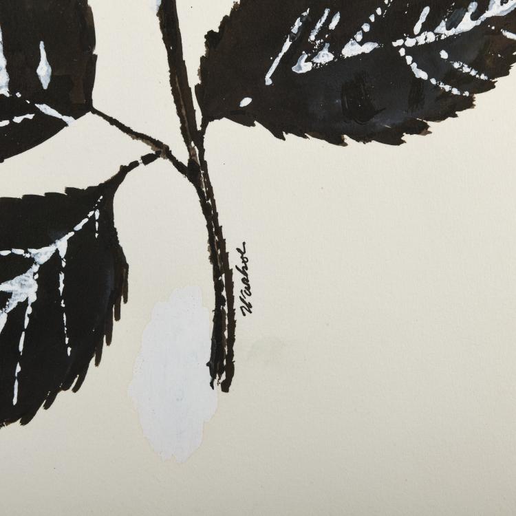 Bild 1 zu Objekt, Ohne Titel (Pink Rose), um 1955, Andy Warhol, 177C 691