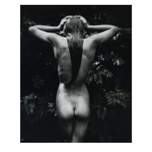 'Punctus', 1992