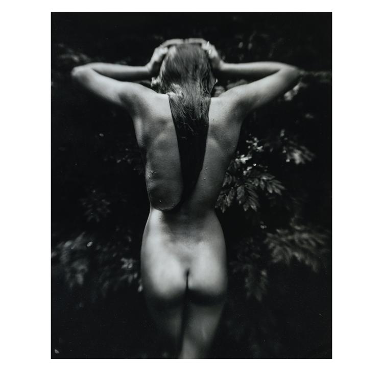 Hauptbild zu Objekt, 'Punctus', 1992, Sally Mann, 177C 665