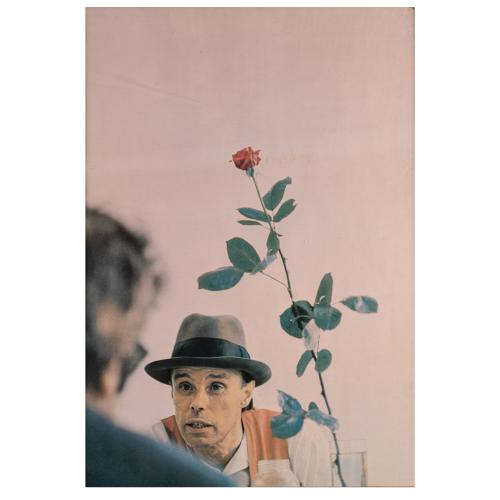 'Ohne die Rose tun wir's nicht', 1972