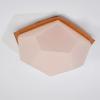 Anthroposophical ceiling light, 1970s