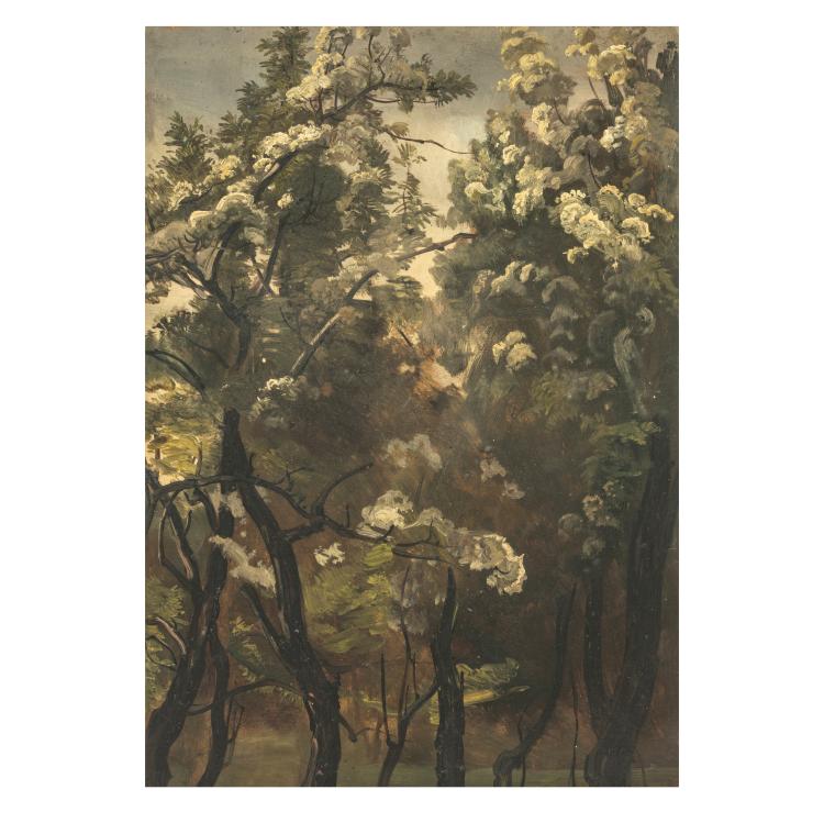 Hauptbild zu Objekt, Waldstudie, ca. 1830, Christian Friedrich Gille (zugeschrieben), 179C 748