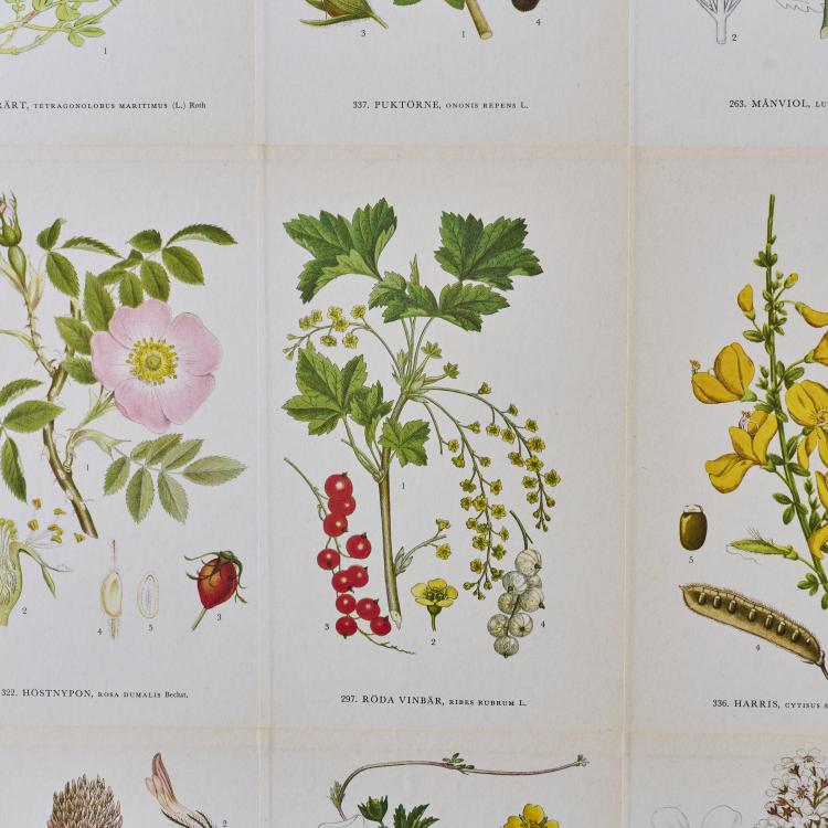 Bild 4 zu Objekt, Anrichte / Schrank, um 1945, Schweden / Sweden, 179A 41