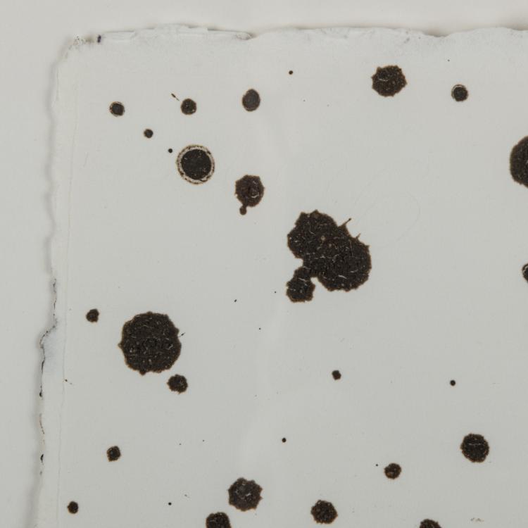 Bild 2 zu Objekt, 'Tristi Tropici' (07), 2007, Mimmo Paladino, 181C 827