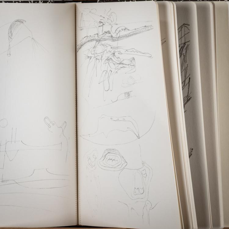 Bild 7 zu Objekt, 'Zeichnungen zu Leonardo Codices Madrid', 1975, Joseph Beuys, manus presse, Stuttgart (Publ.), 181C 789