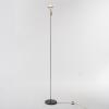 Floor lamp from the HfG Ulm, c. 1955 (design)