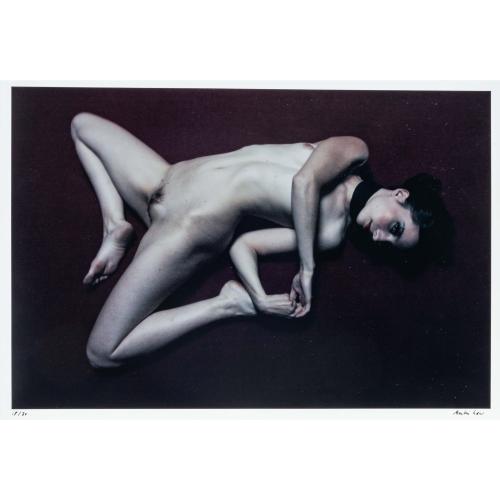 Photograph from the series 'The Nudes', 2008