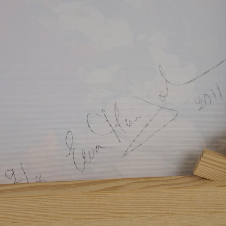 Bild 2 zu Objekt, 'Venus' from the series 'The Under Wonderworld', 2011, Ewa-Mari Johansson, 181C 755