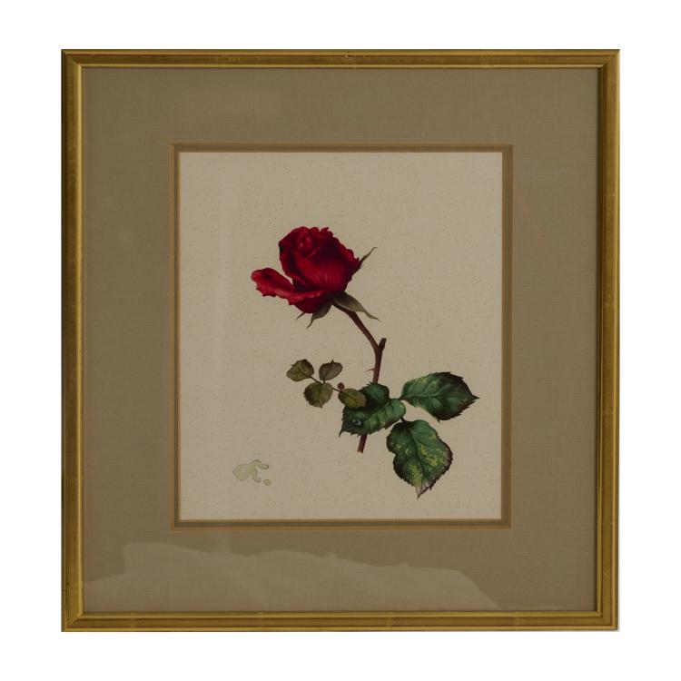 Bild 4 zu Objekt, 4 gouaches Rose, Blackberry, Blueberry, Lily of the Valley, presumably late 1930s, Willy Kriegel, 181C 732